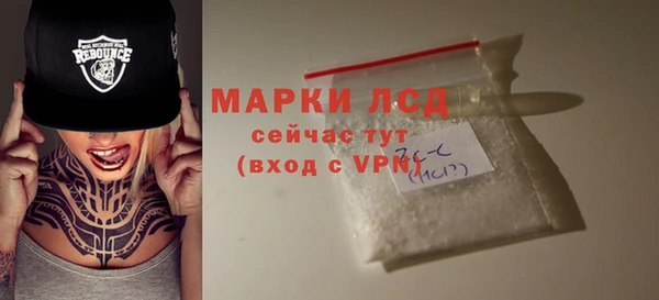 сатива Армянск