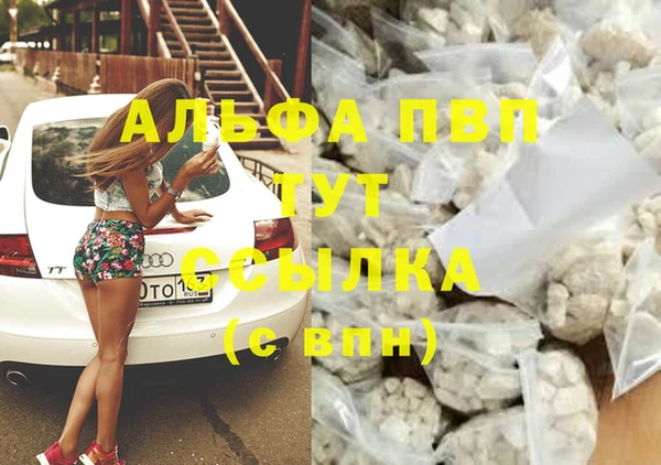 сатива Армянск
