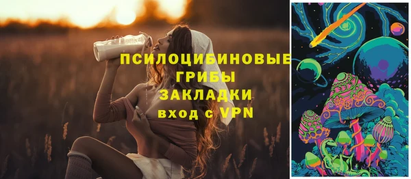 сатива Армянск