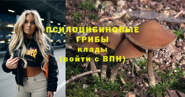 сатива Армянск