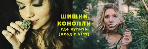 сатива Армянск