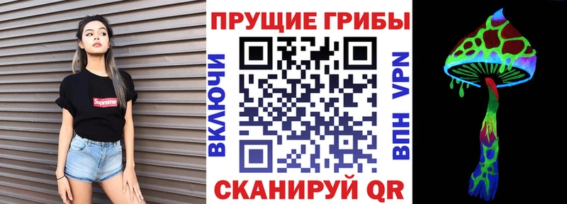 Галлюциногенные грибы Psilocybe  Соль-Илецк 